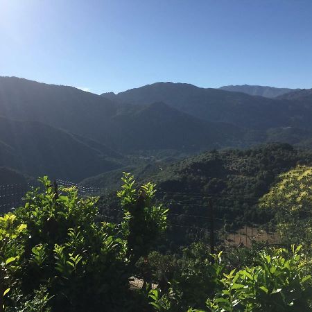 Gite , Maison De Vacances Avec Exterieur Et Terrasse Fleurie Meuble Tourisme 3 Etoiles Santa-Lucia-di-Tallano 외부 사진