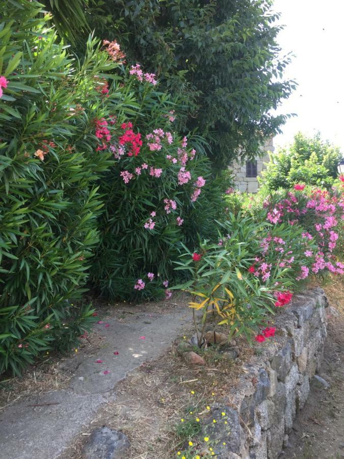 Santa-Lucia-di-Tallano Gite , Maison De Vacances Avec Exterieur Et Terrasse Fleurie Meuble Tourisme 3 Etoiles 빌라 외부 사진