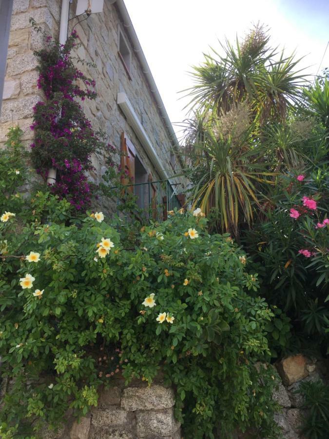 Gite , Maison De Vacances Avec Exterieur Et Terrasse Fleurie Meuble Tourisme 3 Etoiles Santa-Lucia-di-Tallano 외부 사진